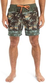 Resim Quiksilver Everyday Straight Volley 15 Jam/Volley Erkekler 