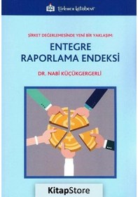 Resim Entegre Raporlama Endeksi - Nabi Küçükgergerli - Türkmen Kitabevi 