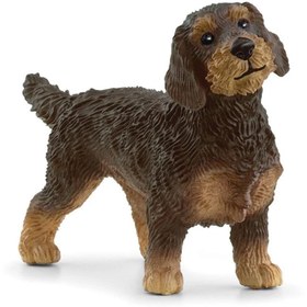 Resim Schleich Tel Tüylü Dachshund 13972 