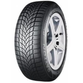 Resim Dayton 205/55 R16 91h Dw510e Kış Lastiği Üretim Yılı: 2022 