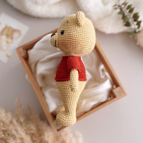 Resim Amigurumi Winnie The Pooh Winny 