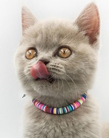 Resim Karışık Renk Fimo Boncuk Kedi Tasması 