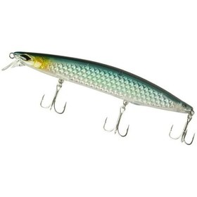 Resim Ryuji Flash Minnow 14 Cm 28 Gr 30-80 Cm Maket Yem Sardine 