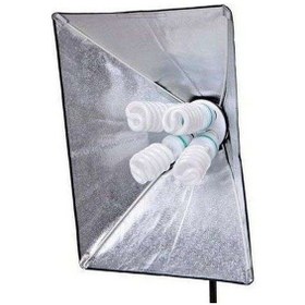 Resim Fancier Sfl-4 50x70cm 4 Duylu 2'li Ayaklı Çantalı Işık Seti Ampul Dahil 