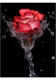 Resim Kırmızı 5d Elmas Boyama Çiçek Tam Yuvarlak Matkap Elmas Nakış Satış Güller Mozaik Resim 30x40cm 