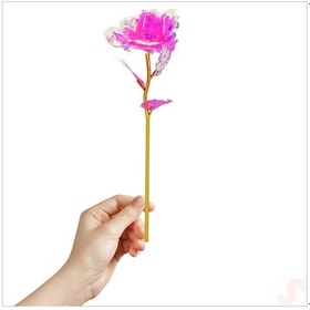 Resim Sonsuzluk Gülü, 25 Cm X 8cm - Pembe 