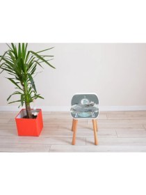 Resim Popcorn Kids Apple Polar Aktivite Sandalye 2 - 6 Yaş 