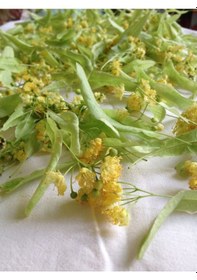 Resim Mis Doğal Ihlamur Çayı 