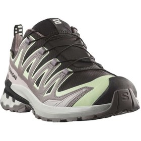 Resim Salomon Salomon Xa Pro 3d V9 Gore-tex Kadın Gri Outdoor Ayakkabı 4106 Gri 