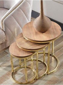 Resim 3' Lü Açık Ceviz Ahşap Gold Metal Sehpa 