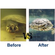 Resim Fastbuy Kaplumbağa Akvaryumu İçin Düşük Su Seviyeli Şelaleli Oksijenli Filtre Pompası Ql-05 