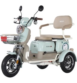 Resim Arora Rüzgar New 3 Tekerli Kızaklı Elektrikli Motosiklet Yeşil 