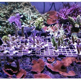 Resim Arka Salıncak Burcu R50/r56 