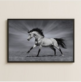 Resim Siyah Beyaz Koşan At Fotoğraf Stil Pleksi Tablo 