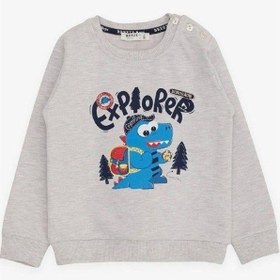 Resim Breeze Erkek Çocuk Explorer Yazılı Dinazor Baskılı Sweatshirt-14677 Gri 