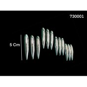 Resim Gcstore Kapı Bademi 12 Parça Yapıştırma 