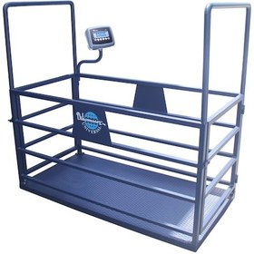 Resim Cw 1500 KG x 200 Gr 100 x 200 Canlı Hayvan Baskülü Büyük Baş 