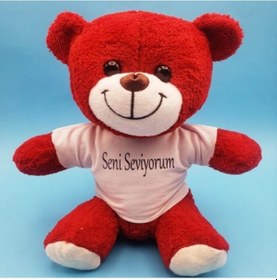 Resim Kırmızı Peluş Ayıcık Seni Seviyorum Tişörtlü 