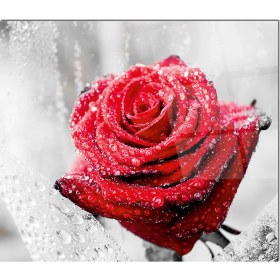 Resim Olinpa Cam Ocak Arkası Koruyucu | Çiçek 