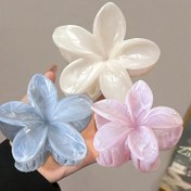 Resim 3'lü set ilkbahar yaz karışık renkli plastik yumurta çiçek saç tokası - Popüler kültür temalı kadın saç tokası, yüksek kaliteli çiçekli köpekbalığı klips seti, Kadın saç aksesuarları 