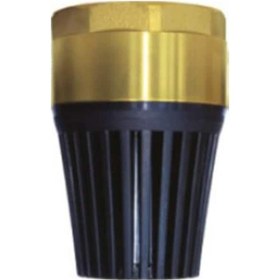 Resim 1 İnch Yaylı Dip Klape 