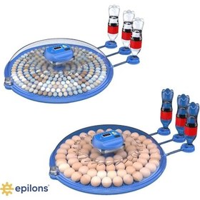 Resim 80/240 Kapasiteli Çift Viyollü Kuluçka Makinesi Kaz Ördek Tavuk Bıldırcın Kuşlar İçin 