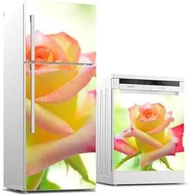 Resim Buzdolabı Ve Bulaşık Makinesi Takım Sticker 0369 