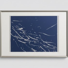 Resim Gümüş Balıklar Resim 2 