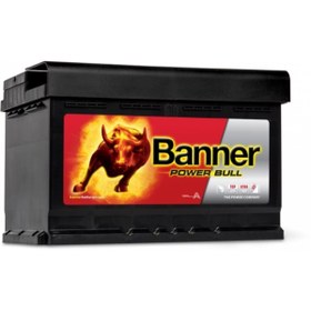 Resim Banner 12 V 74 Ah Power Bull Araç Aküsü 