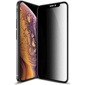 Resim Apple Uyumlu iPhone X / Xs Hayalet Privacy Gizli Cam Ekran Koruyucu Siyah 