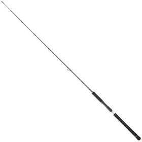 Resim Daiwa Legalis Oceano Jg 173 Cm 100-300 Gr Jig Kamış 