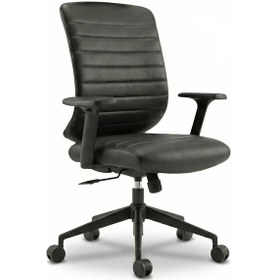 Resim Zıeno Wındy Le Çalışma Koltuğu Diğer 