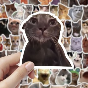 Resim 101 Adet Meme Kedi Sticker - Su Geçirmez Kendinden Yapışkanlı İnternet Meme Kedi Tasarımlar, Sevimli ve Komik Ifadeler, Çoklu Irk & Renkli Desenler, Laptop, Defter, Telefon, Zarf için - Öğretmen Ödülleri, Ev Hediyesi, Tatil Hediyeleri, Defter Süslemeleri, Eğlenceli Estetik, Yüksek Kalite Baskılar 