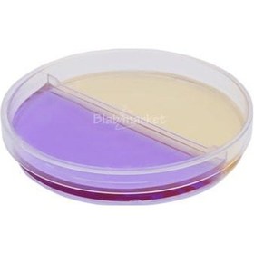 Resim Petri Kabı 90x15 MM İki Bölmeli Steril Petri Kutusu 25 Adet 