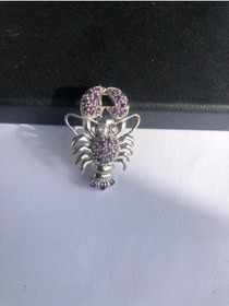 Resim Tmt Silver Gümüş Mor Zirkon Taşlı Istakoz Broş 