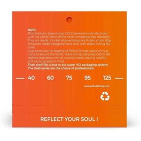 Resim AyrStore Strings Gold Series GEB 5 SL Super Light Takım Tel 5 Telli Bas Gitar Teli 040 125 