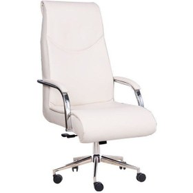 Resim Koltukstilim Aylin Yönetici Koltuğu Beyaz 