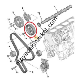 Resim Citroen Xsara (2000-2004) 2.0 Hdi Eksantrik Dişlisi (42 Diş) (Orijinal) 