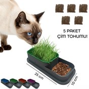 Resim Topraksız Kedi Çimi Kabı 