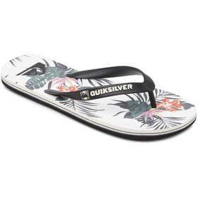 Resim Quiksilver Molokai Everyday Paradise Erkek Sandalet 