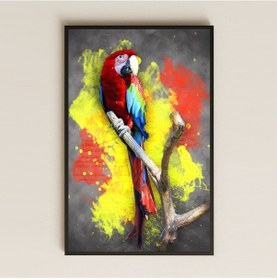 Resim Renk Patlamalı Papağan Dijital Sanat Pleksi Tablo 