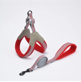 Resim Açık Yürüyüş Yavru Kedi Tasması Küçük Kediler İçin Mascotas Aksesuarları Örgü Red L 