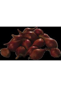 Resim Yerli Arpacık Soğan 3 Numara 1 KG 