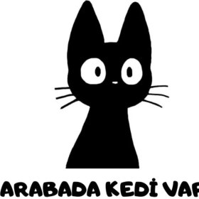 Resim Arabada Kedi Var Model 1 Sticker - Model 2 Sticker 