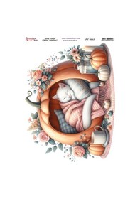 Resim Pirinç Dekopaj Kağıdı 30x42cm Pt-4062 Uyuyan Kedi 