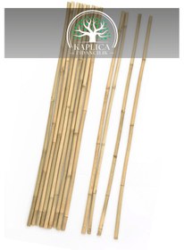 Resim 40 Adet Fidan Dikim Destekleme Çubuğu 190 - 200 Cm 