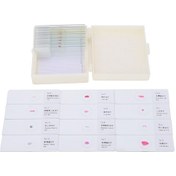 Resim Maiyame 25 Farklı Hayvan Örneği Mikroskop Lamelleri - Bilimsel Eğitim Ve Biyoloji Deneyleri İçin Cam Materyal, Etiketli Ve Saklama Kutusuyla 