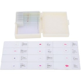 Resim Maiyame 25 Farklı Hayvan Örneği Mikroskop Lamelleri - Bilimsel Eğitim Ve Biyoloji Deneyleri İçin Cam Materyal, Etiketli Ve Saklama Kutusuyla 