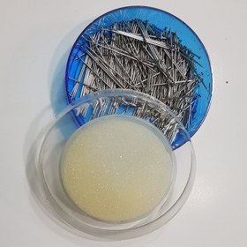 Resim Toplu İğne 25 gr 
