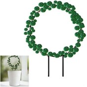 Resim Pazly Demir Bitki Destek Çubuğu - Kalp Yuvarlak - Dayanıklı Saksıda Tırmanıcı Bitkiler İçin Dekoratif Düzenleme 